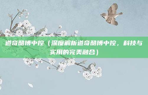 道奇酷博中控（深度解析道奇酷博中控，科技与实用的完美融合）