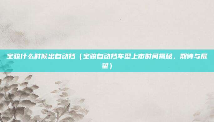 宝骏什么时候出自动挡(宝骏自动挡车型上市时间揭秘,期待与展望)