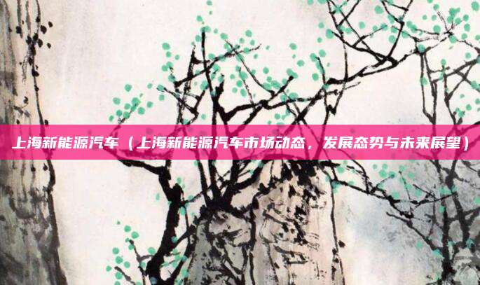 上海新能源汽车(上海新能源汽车市场动态,发展态势与未来展望)