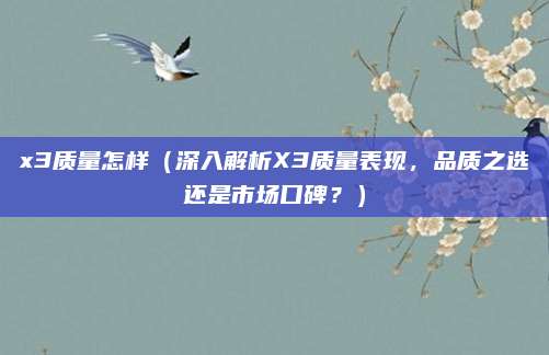 x3质量怎样(深入解析X3质量表现,品质之选还是市场口碑?)