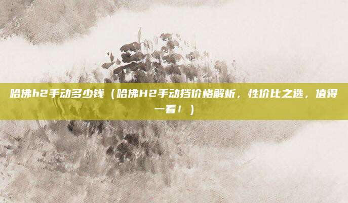 哈佛h2手动多少钱(哈佛H2手动挡价格解析,性价比之选,值得一看!)