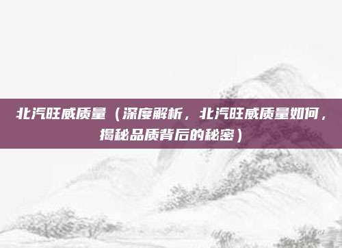 北汽旺威质量（深度解析，北汽旺威质量如何，揭秘品质背后的秘密）