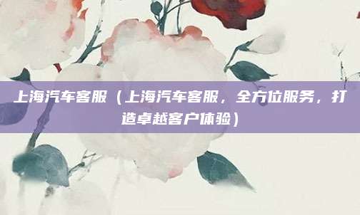 上海汽车客服（上海汽车客服，全方位服务，打造卓越客户体验）