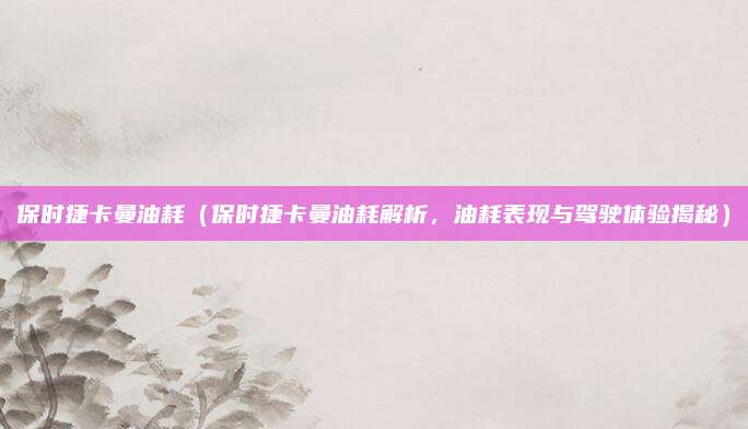 保时捷卡曼油耗(保时捷卡曼油耗解析,油耗表现与驾驶体验揭秘)
