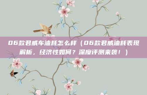 06款君威车油耗怎么样(06款君威油耗表现解析,经济性如何?深度评测来袭!)