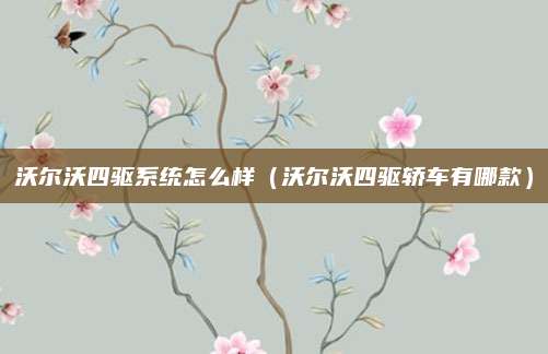 沃尔沃四驱系统怎么样(沃尔沃四驱轿车有哪款)