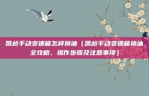 凯越手动变速箱怎样换油(凯越手动变速箱换油全攻略,操作步骤及注意事项)
