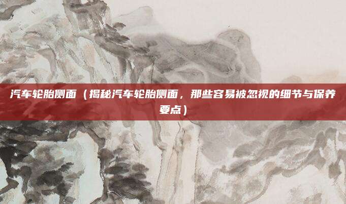 汽车轮胎侧面(揭秘汽车轮胎侧面,那些容易被忽视的细节与保养要点)