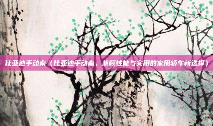 比亚迪手动秦(比亚迪手动秦,兼顾性能与实用的家用轿车新选择)