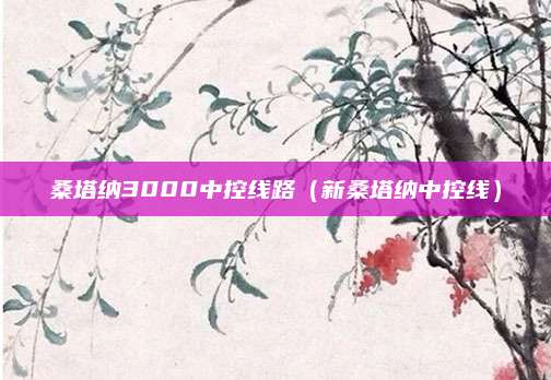桑塔纳3000中控线路(新桑塔纳中控线)