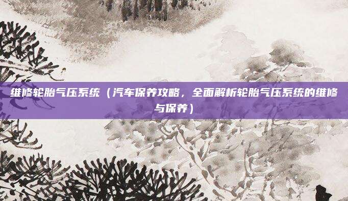 维修轮胎气压系统(汽车保养攻略,全面解析轮胎气压系统的维修与保养)