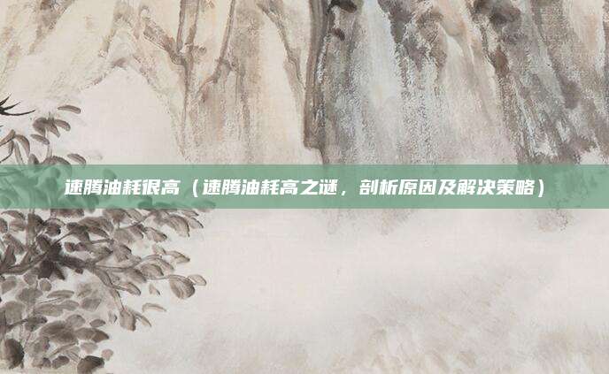 速腾油耗很高(速腾油耗高之谜,剖析原因及解决策略)