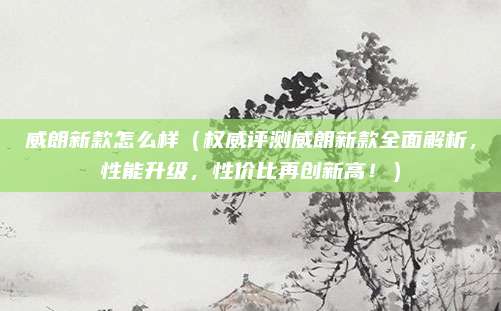威朗新款怎么样(权威评测威朗新款全面解析,性能升级,性价比再创新高!)