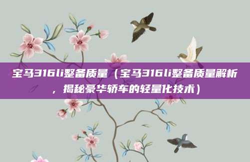 宝马316li整备质量（宝马316li整备质量解析，揭秘豪华轿车的轻量化技术）