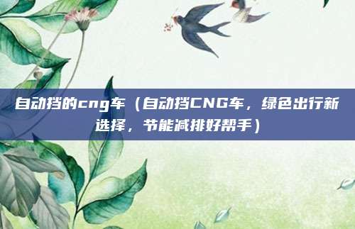自动挡的cng车（自动挡CNG车，绿色出行新选择，节能减排好帮手）