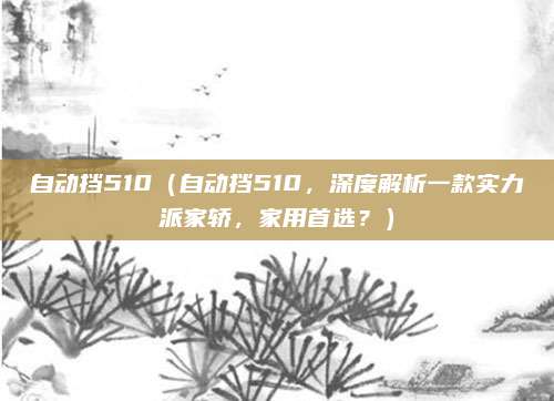 自动挡510(自动挡510,深度解析一款实力派家轿,家用首选?)