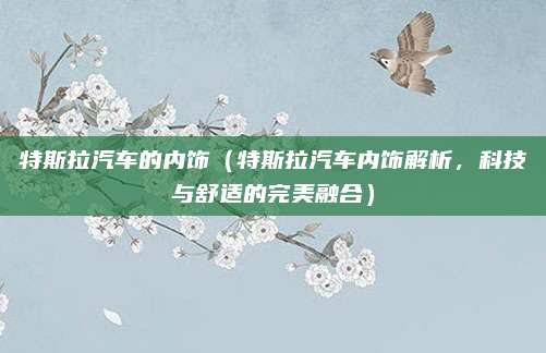 特斯拉汽车的内饰(特斯拉汽车内饰解析,科技与舒适的完美融合)