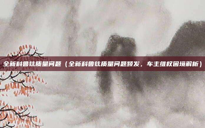 全新科鲁兹质量问题(全新科鲁兹质量问题频发,车主维权困境解析)