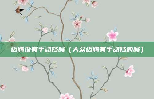 迈腾没有手动挡吗(大众迈腾有手动挡的吗)