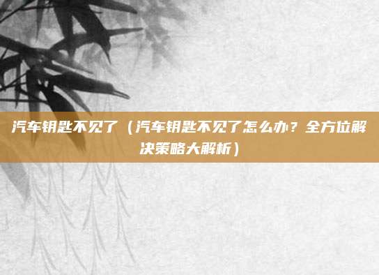 汽车钥匙不见了(汽车钥匙不见了怎么办?全方位解决策略大解析)