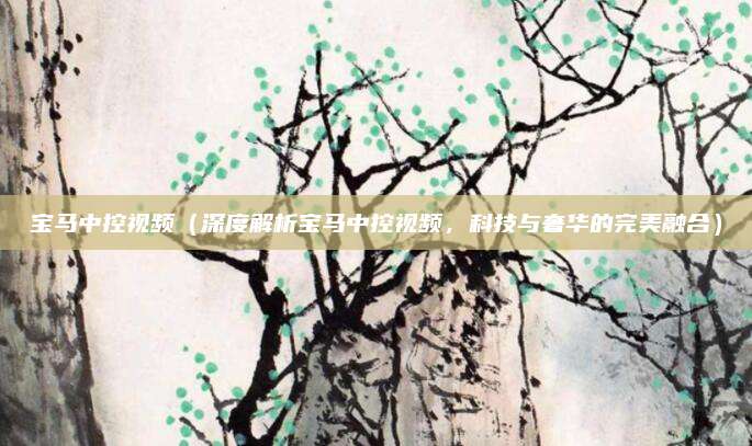 宝马中控视频(深度解析宝马中控视频,科技与奢华的完美融合)