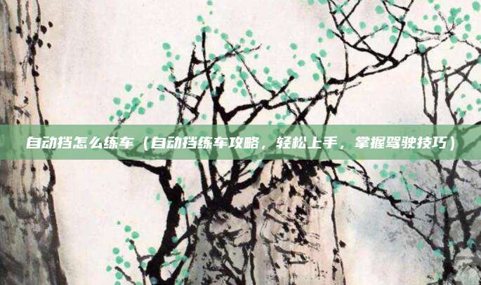 自动挡怎么练车(自动挡练车攻略,轻松上手,掌握驾驶技巧)