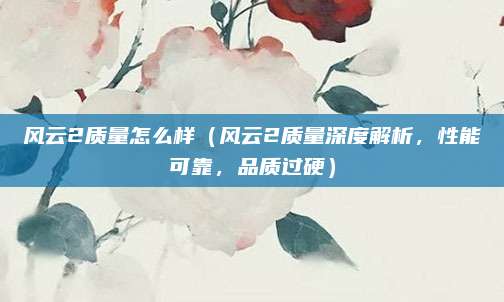 风云2质量怎么样（风云2质量深度解析，性能可靠，品质过硬）