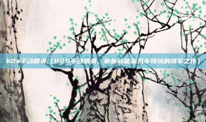 h2s手动精英(H2S手动精英,解析新能源汽车领域的领军之作)