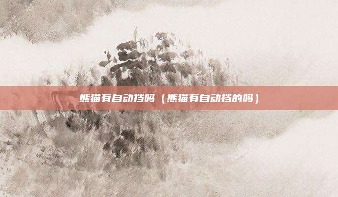 熊猫有自动挡吗(熊猫有自动挡的吗)