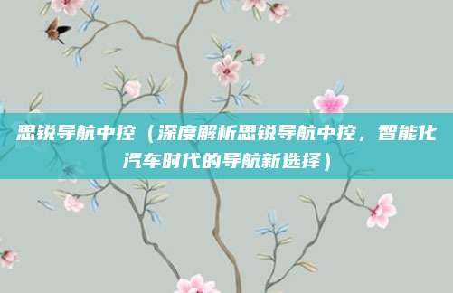 思锐导航中控（深度解析思锐导航中控，智能化汽车时代的导航新选择）