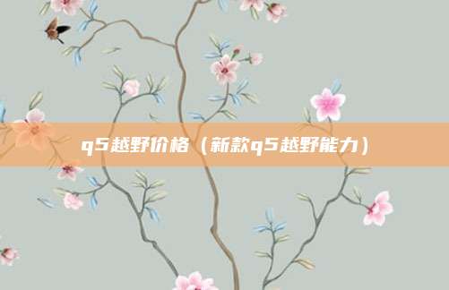 q5越野价格(新款q5越野能力)