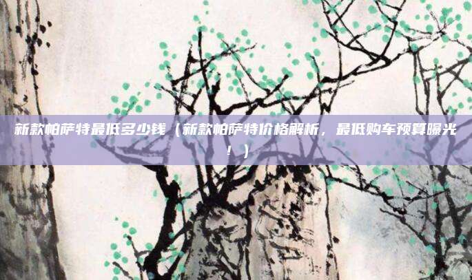 新款帕萨特最低多少钱（新款帕萨特价格解析，最低购车预算曝光！）