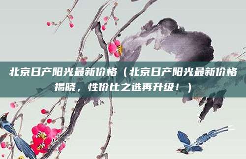 北京日产阳光最新价格(北京日产阳光最新价格揭晓,性价比之选再升级!)