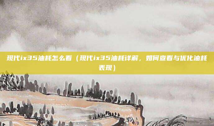 现代ix35油耗怎么看(现代ix35油耗详解,如何查看与优化油耗表现)