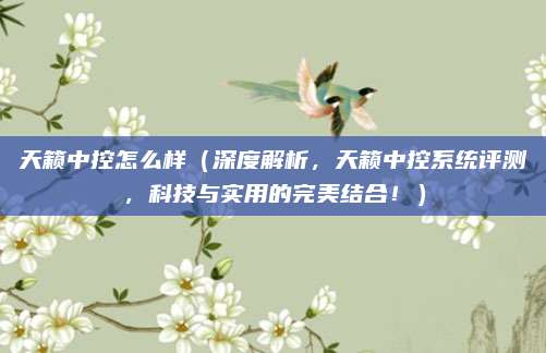 天籁中控怎么样(深度解析,天籁中控系统评测,科技与实用的完美结合!)