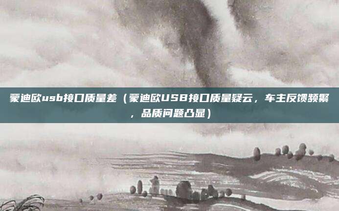 蒙迪欧usb接口质量差(蒙迪欧USB接口质量疑云,车主反馈频繁,品质问题凸显)