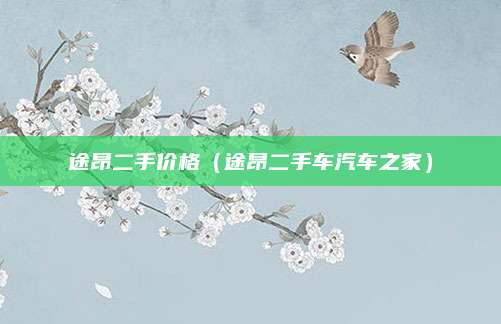 途昂二手价格(途昂二手车汽车之家)