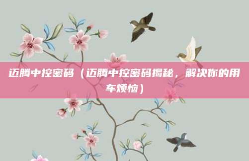 迈腾中控密码(迈腾中控密码揭秘,解决你的用车烦恼)