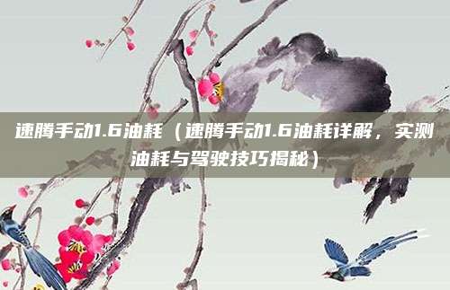 速腾手动1.6油耗(速腾手动1.6油耗详解,实测油耗与驾驶技巧揭秘)