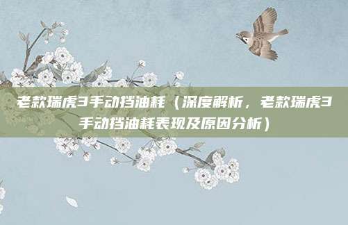 老款瑞虎3手动挡油耗(深度解析,老款瑞虎3手动挡油耗表现及原因分析)