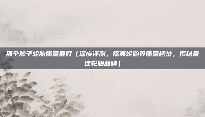 那个牌子轮胎质量最好(深度评测,探寻轮胎界质量翘楚,揭秘最佳轮胎品牌)