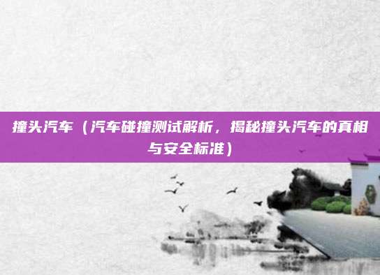 撞头汽车(汽车碰撞测试解析,揭秘撞头汽车的真相与安全标准)