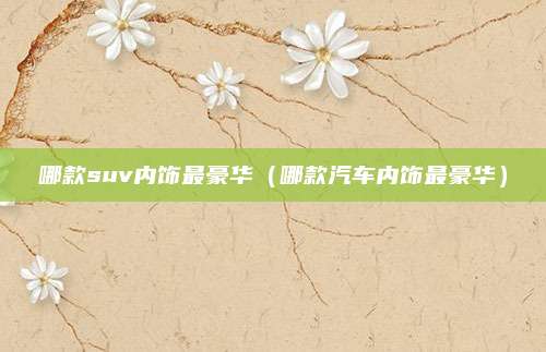 哪款suv内饰最豪华(哪款汽车内饰最豪华)