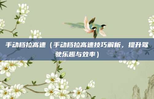 手动档拉高速(手动档拉高速技巧解析,提升驾驶乐趣与效率)
