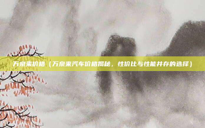 万泉来价格（万泉来汽车价格揭秘，性价比与性能并存的选择）