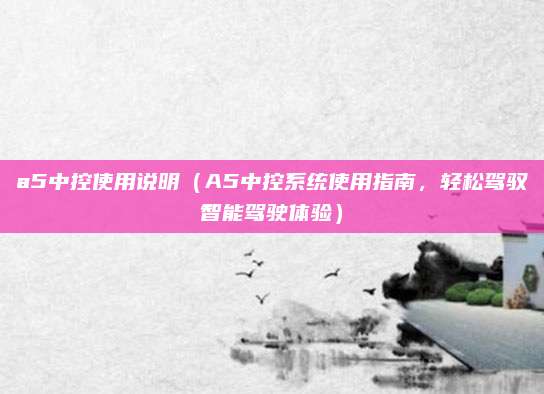 a5中控使用说明（A5中控系统使用指南，轻松驾驭智能驾驶体验）