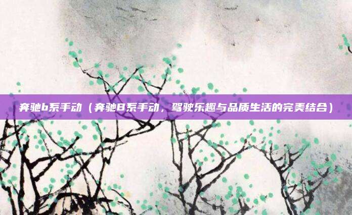 奔驰b系手动(奔驰B系手动,驾驶乐趣与品质生活的完美结合)