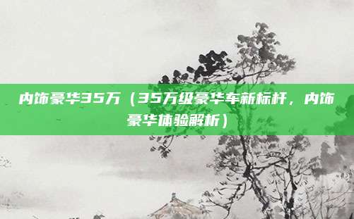 内饰豪华35万(35万级豪华车新标杆,内饰豪华体验解析)