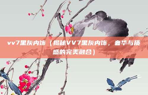 vv7黑灰内饰(揭秘VV7黑灰内饰,奢华与质感的完美融合)