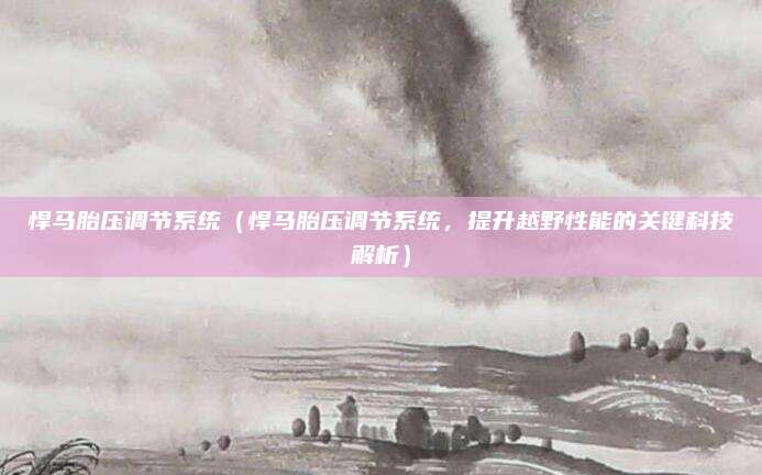 悍马胎压调节系统(悍马胎压调节系统,提升越野性能的关键科技解析)